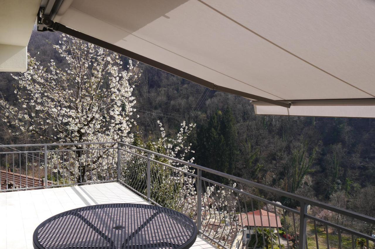 Casa Colmegna Mit Traumhaften See- Und Bergblick Luino Exterior photo